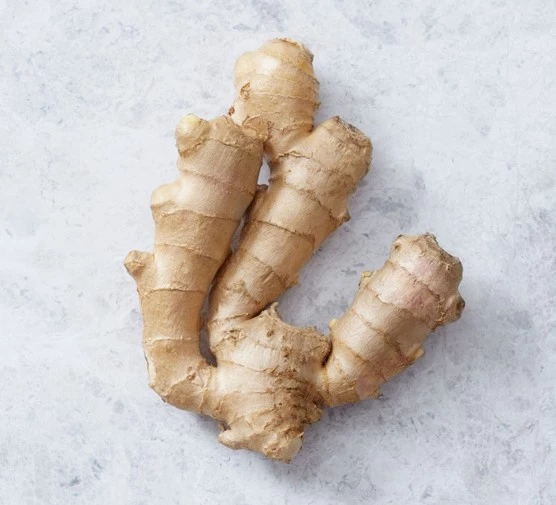 intra-Ginger-root